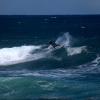 img_7505-medium-
