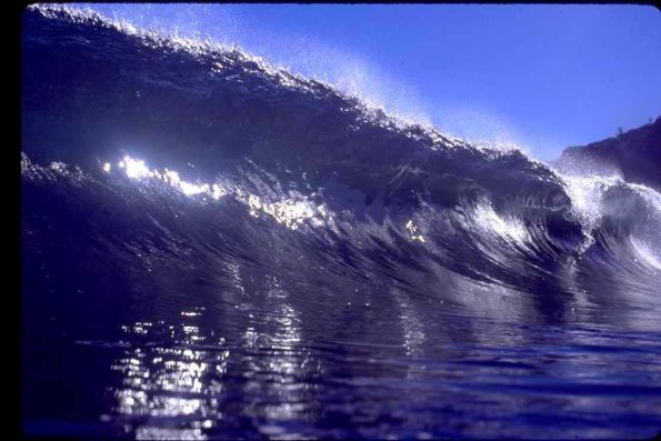 NorthShore1_jpg