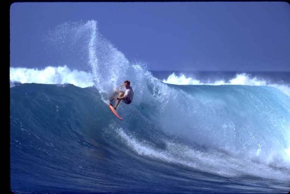 NorthwestShore2_jpg