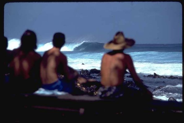 SouthernShore3_jpg