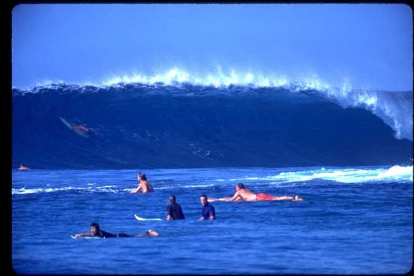 SouthernShore6_jpg